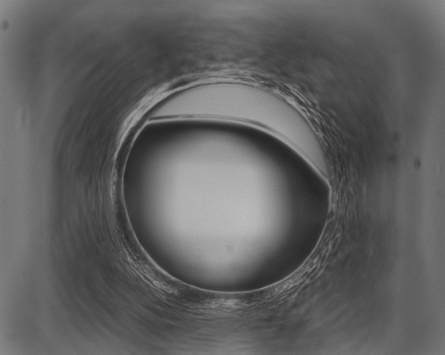 X0000087670152200705040734