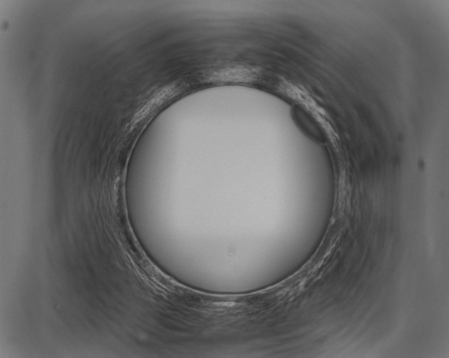 X0000087670153200705040734