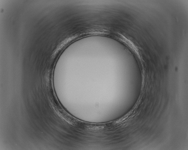 X0000087670155200705040734