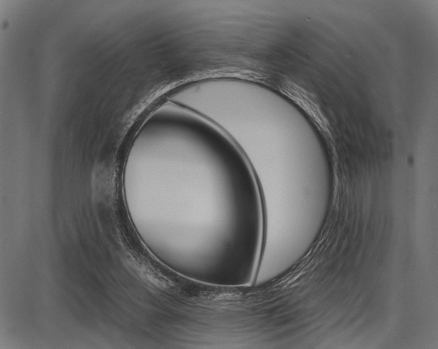 X0000087670156200705040734