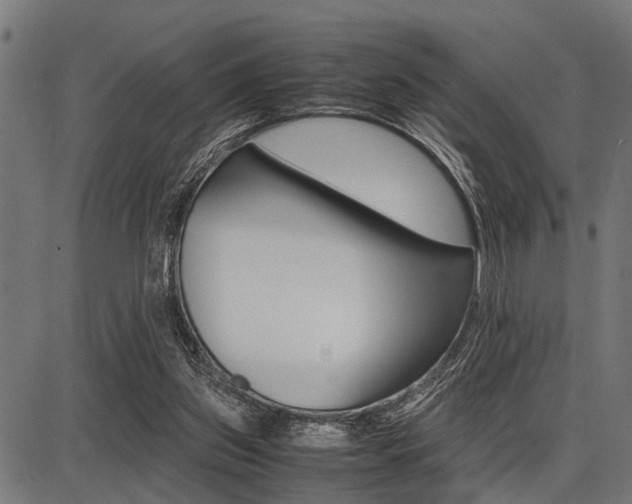 X0000087670157200705040734