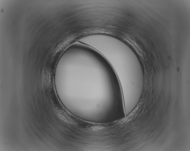 X0000087670158200705040734