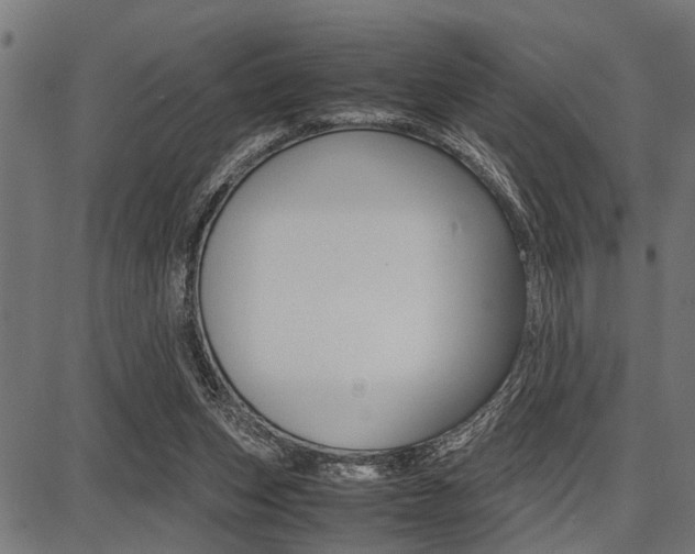 X0000087670159200705040734