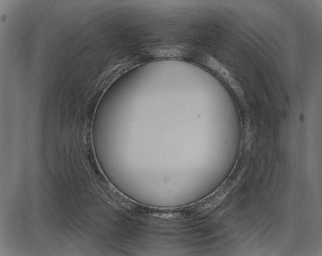 X0000087670161200705040734