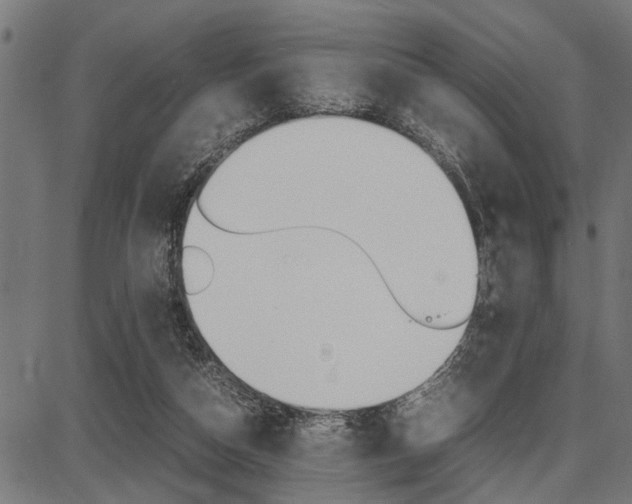 X0000087670162200705040734