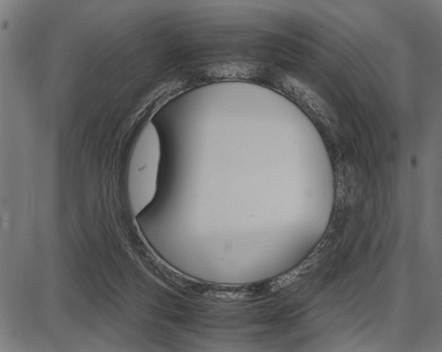 X0000087670163200705040734