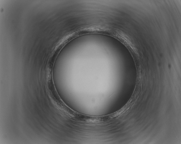 X0000087670164200705040734