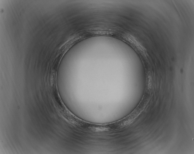 X0000087670165200705040734