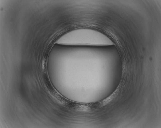 X0000087670166200705040734