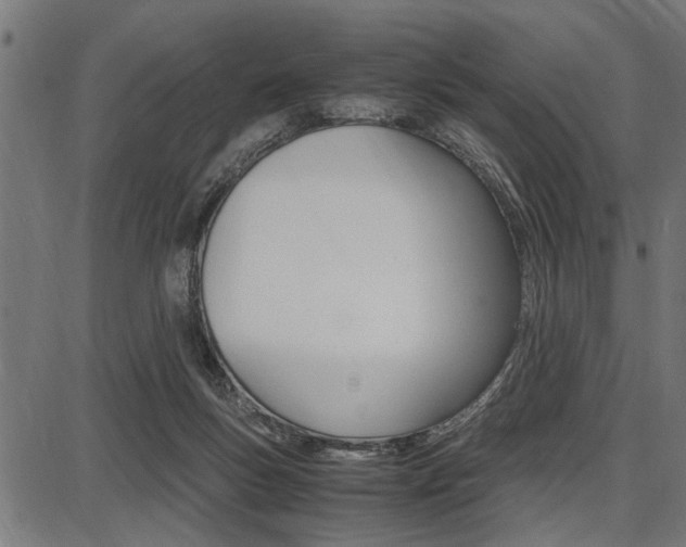 X0000087670167200705040734