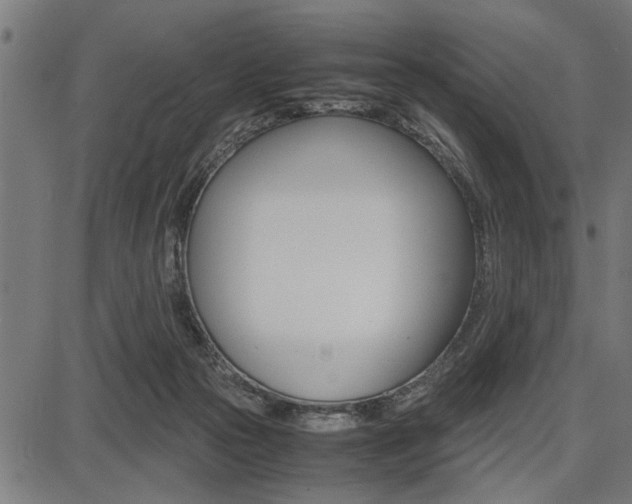 X0000087670169200705040734