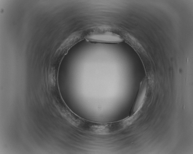 X0000087670170200705040734