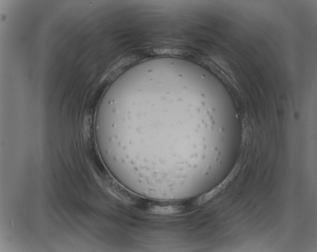 X0000087670171200705040734