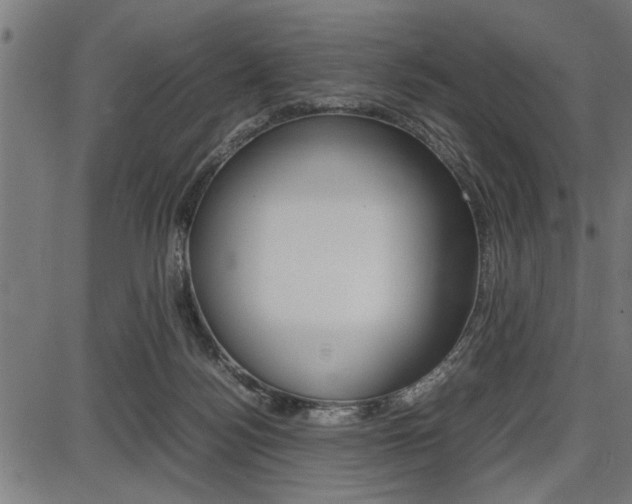 X0000087670172200705040734