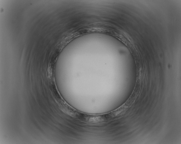 X0000087670173200705040734