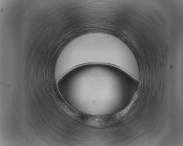 X0000087670174200705040734