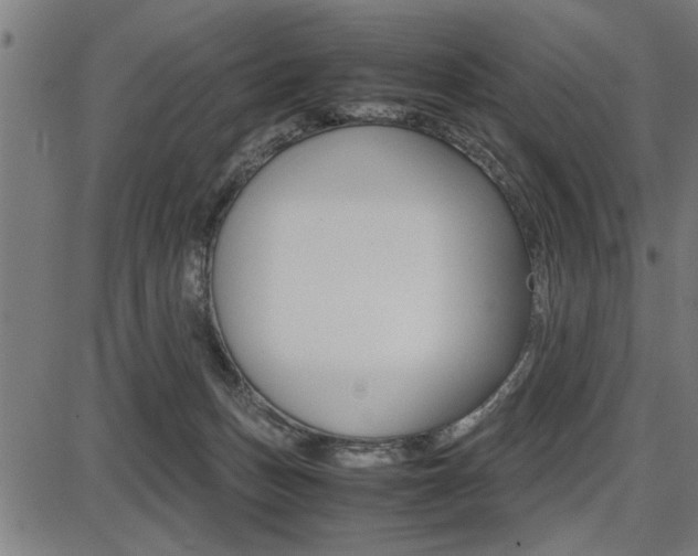 X0000087670175200705040734