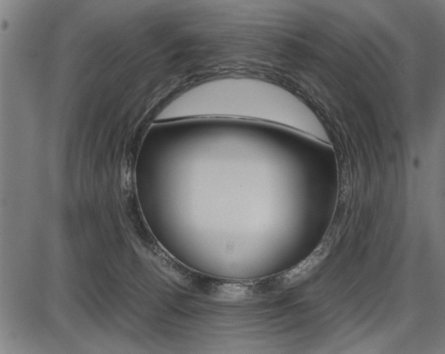 X0000087670176200705040734