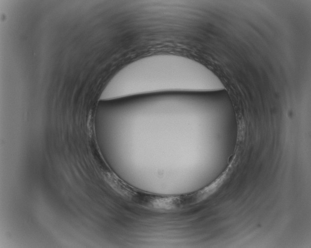 X0000087670178200705040734