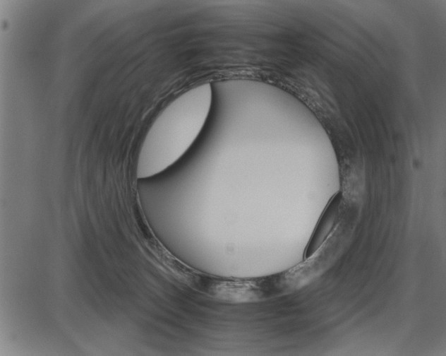 X0000087670179200705040734