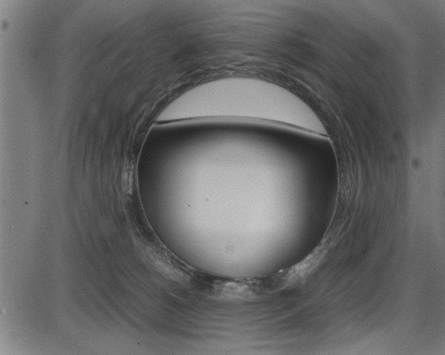 X0000087670180200705040734