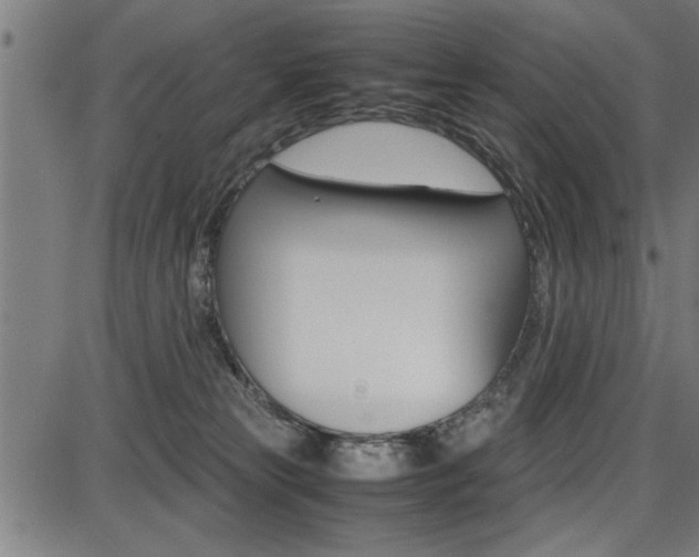 X0000087670181200705040734