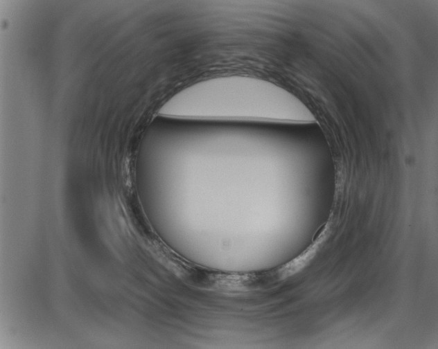 X0000087670182200705040734