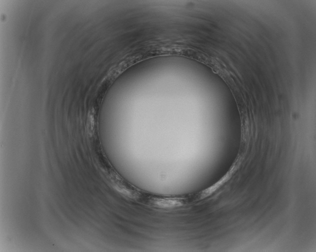 X0000087670183200705040734