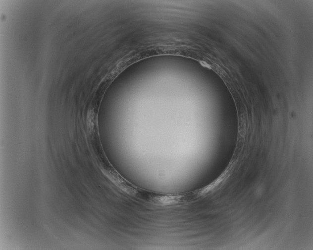 X0000087670184200705040734