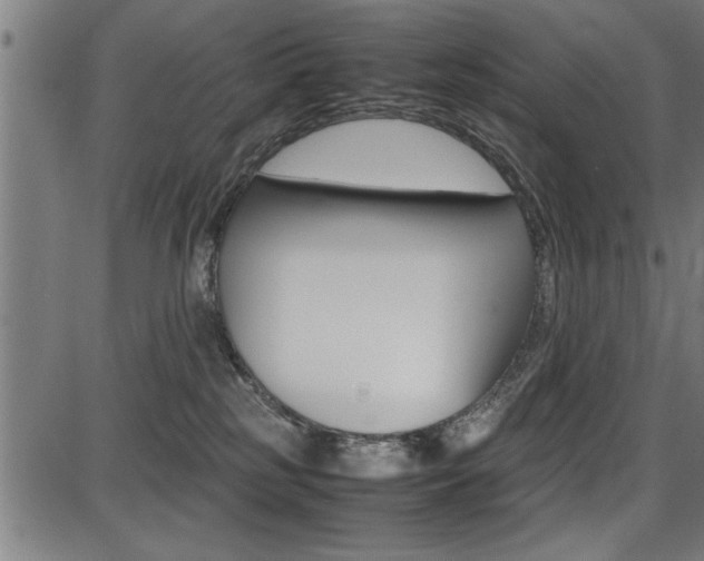 X0000087670185200705040734