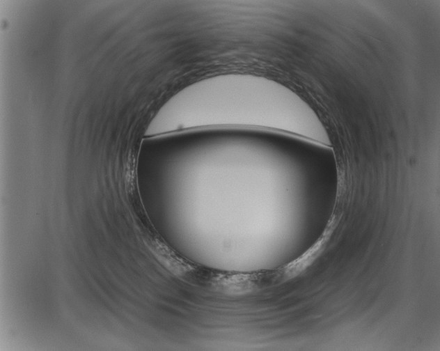 X0000087670186200705040734