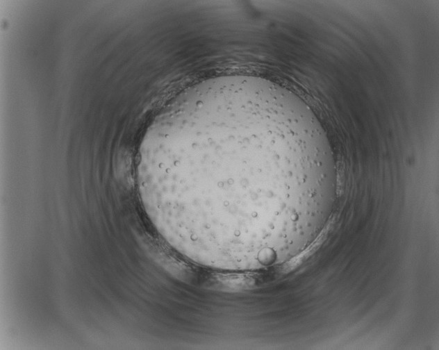 X0000087670187200705040735