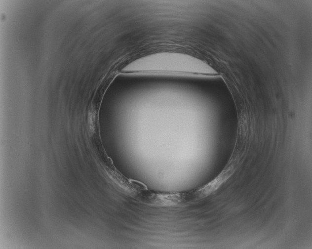 X0000087670188200705040735