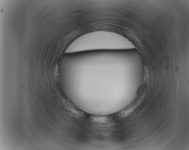 X0000087670189200705040735