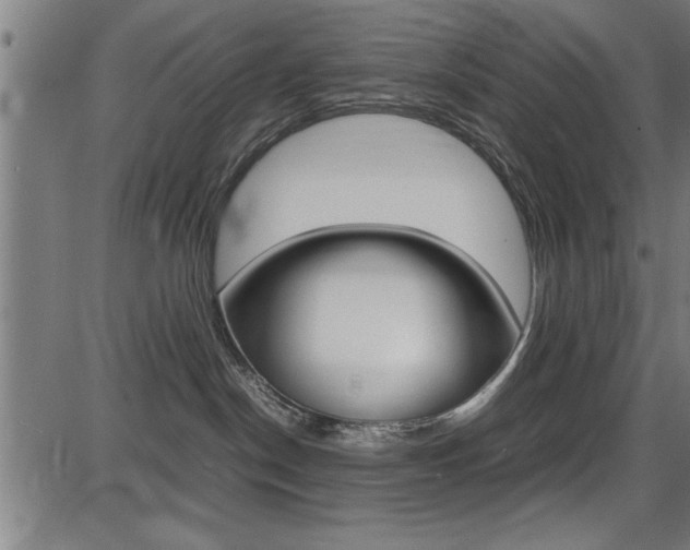 X0000087670190200705040735