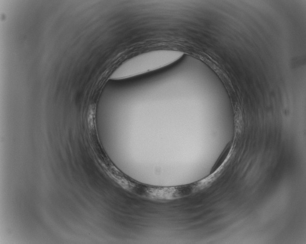 X0000087670191200705040735