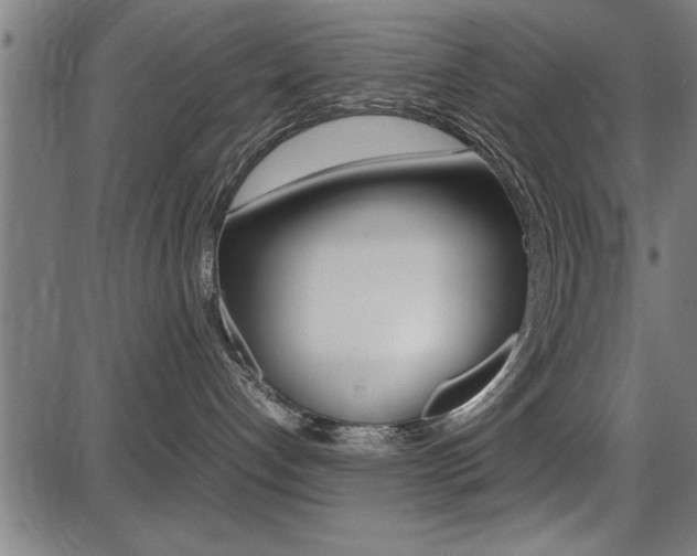 X0000087670192200705040735