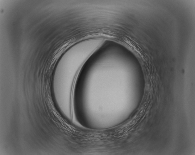 X0000087670193200705040734