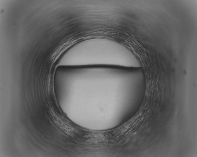 X0000087670194200705040734