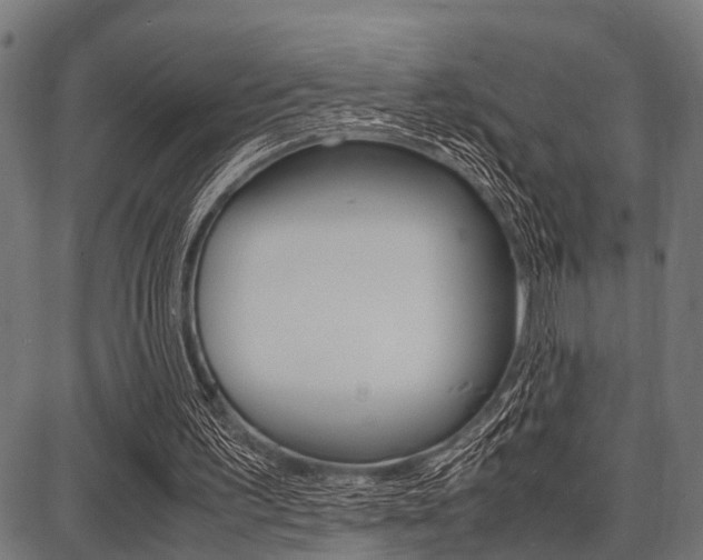 X0000087670195200705040734