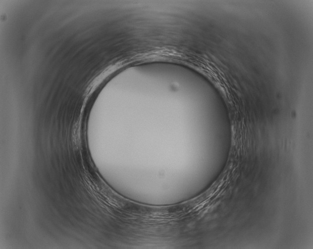 X0000087670196200705040734