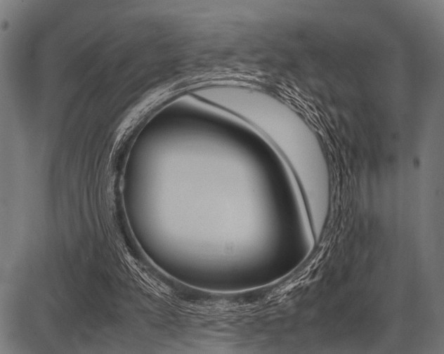 X0000087670197200705040734