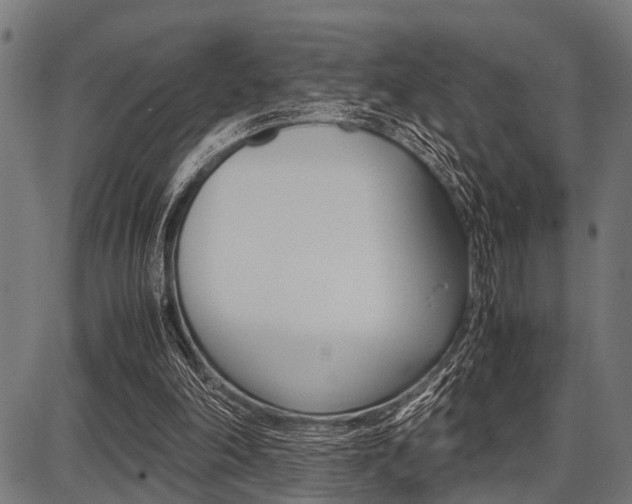 X0000087670198200705040734