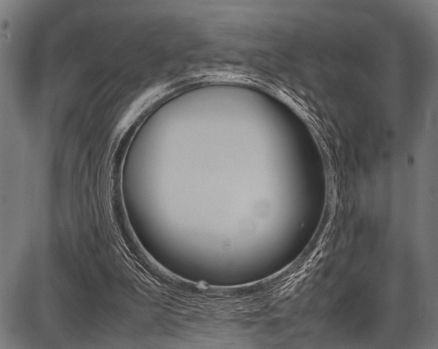 X0000087670199200705040734