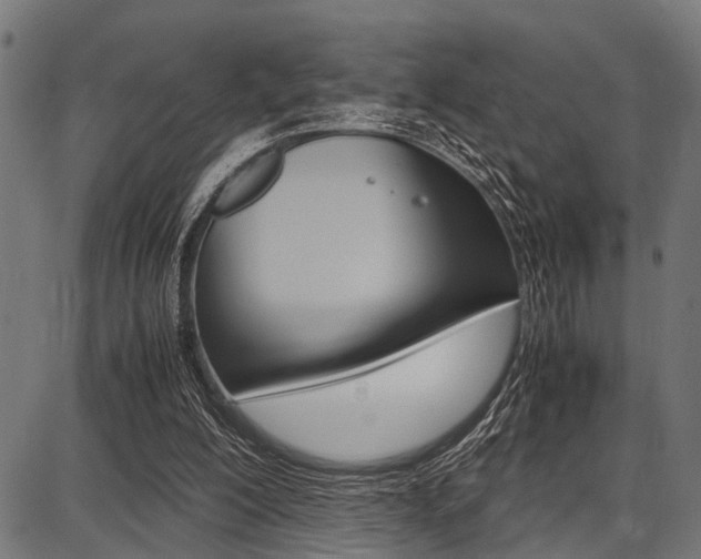 X0000087670200200705040734