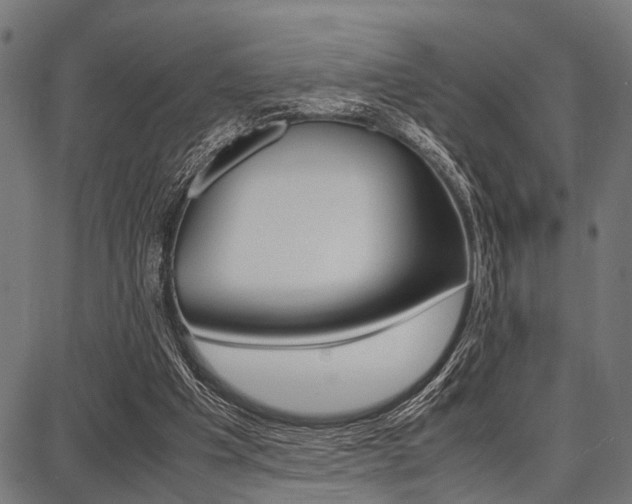 X0000087670201200705040734