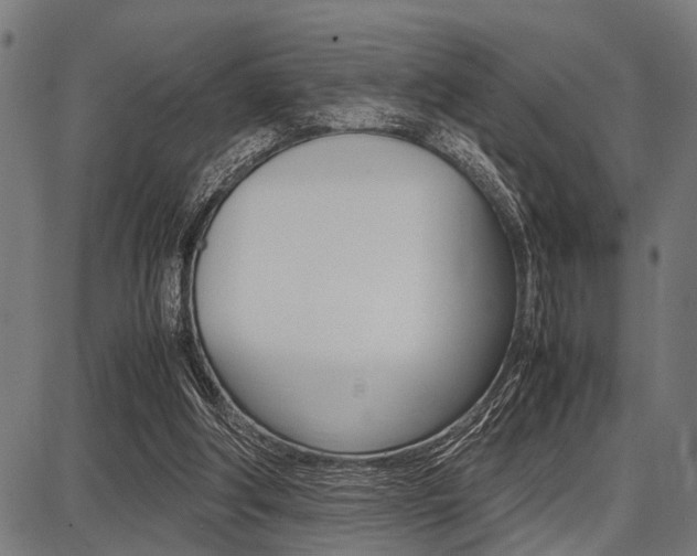 X0000087670202200705040734