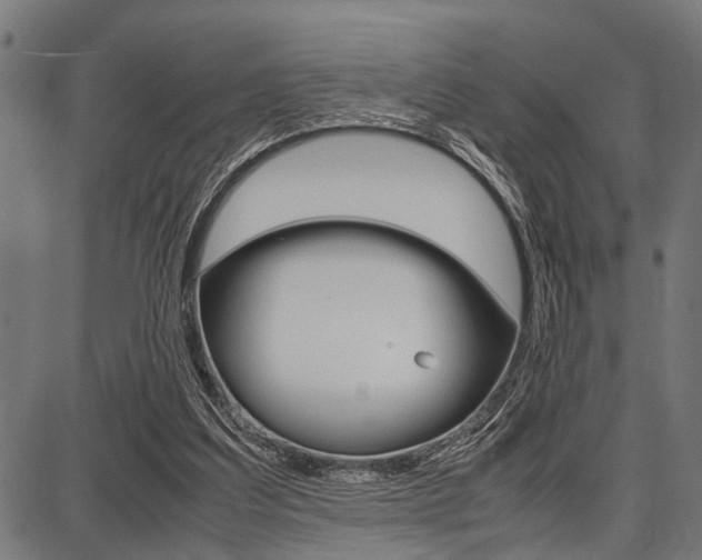 X0000087670203200705040734