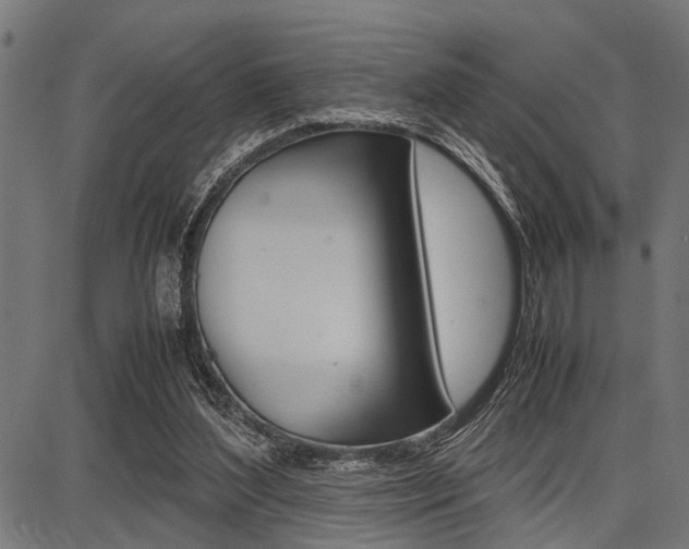 X0000087670204200705040734