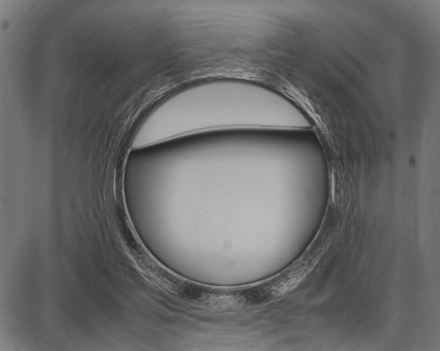 X0000087670205200705040734